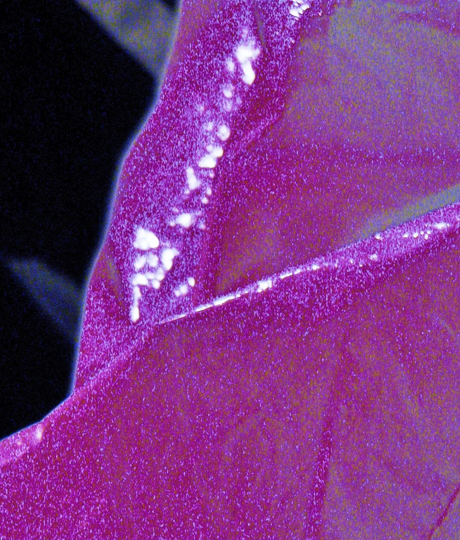 PurplePlasticMountainsny